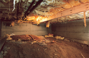 Before view of dirt Crawl Space in Washington D.C.