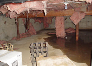 fiberglass insulation dripping off the ceiling of a crawl space in Leesburg.