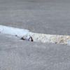 Slab floor cracks showing in a Bowie home