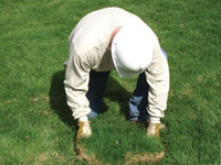 Restoring the landscaping by replacing removed lawn sections for a Bethesda home.